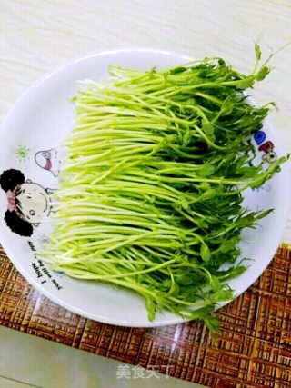 水培豌豆苗的做法