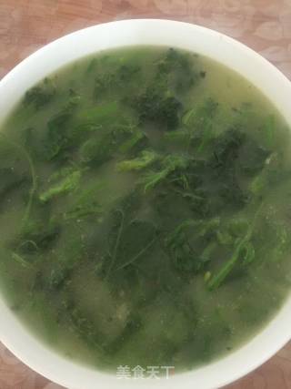 米汤南瓜叶的做法