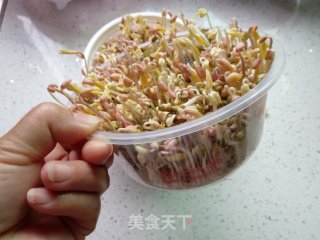 自发绿豆芽的做法