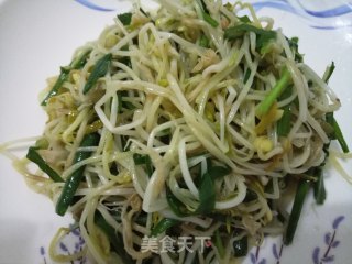 自发绿豆芽的做法