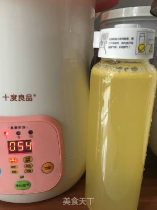 芒果鲜酿酵素的做法