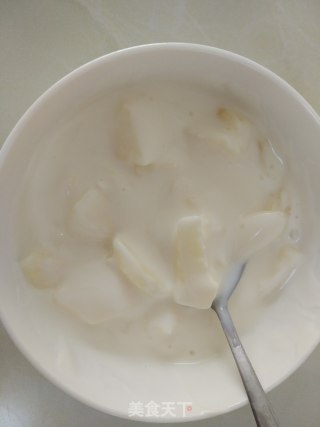 自制原味酸奶的做法