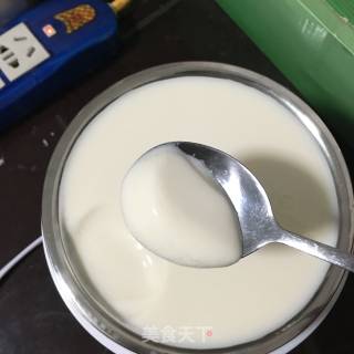 原味酸奶的做法