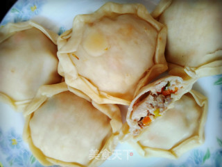 迷の肉馅饼的做法