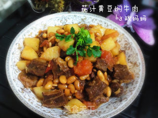 茄汁黄豆炖牛肉的做法