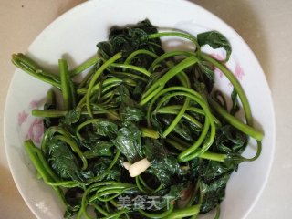 清炒苕尖的做法