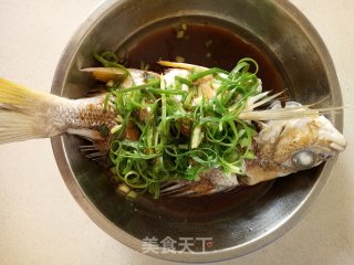 清蒸本地黑蜡鱼的做法