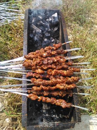 炭烤羊肉串的做法