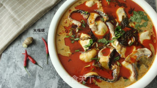 特色螺蛳斑鱼锅丨大嘴螺的做法