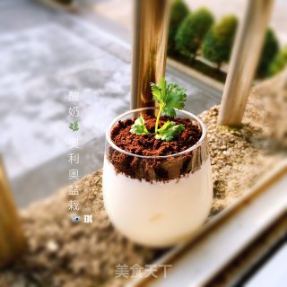 酸奶奥利奥小盆栽的做法