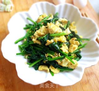 菠菜炒鸡蛋的做法