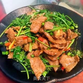 铁板牛肉的做法