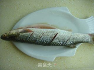 年年有余----黄尾鲫藏珠的做法步骤：4