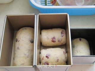 杏仁粉蜂蜜果干吐司的做法步骤：2