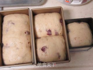 杏仁粉蜂蜜果干吐司的做法步骤：2