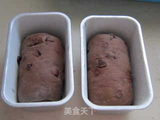 巧克力蔓越莓小吐司的做法步骤：2