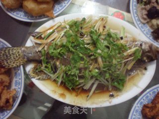 清蒸鳜鱼（私房菜—1）的做法