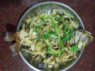 咸菜焖海鱼的做法