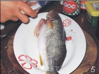 年年有余——清蒸红鮕鱼的做法步骤：4
