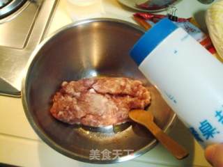 家庭制作老北京风味儿“褡裢火烧”的做法步骤：5