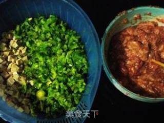煮饺子不破皮的窍门--芹菜香干猪肉饺的做法步骤：5
