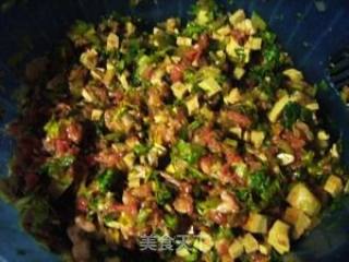 煮饺子不破皮的窍门--芹菜香干猪肉饺的做法步骤：5