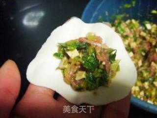 煮饺子不破皮的窍门--芹菜香干猪肉饺的做法步骤：5