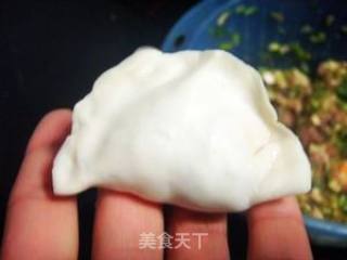 煮饺子不破皮的窍门--芹菜香干猪肉饺的做法步骤：5