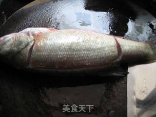 年年有余---特色蒸鲈鱼的做法步骤：7