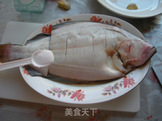 清蒸牙片鱼的做法步骤：3