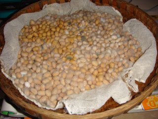 下饭小菜——都江堰黄豆豆豉的制作的做法步骤：2