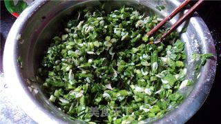 烫面包子的做法步骤：2