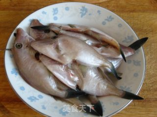 红烧扒皮鱼的做法步骤：4