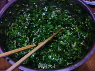 韭菜虾皮馅饼的做法步骤：5