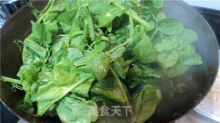 清炒豆苗的做法步骤：2