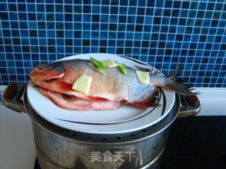 清蒸红鲳的做法步骤：4