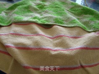 豆角猪肉包的做法步骤：5