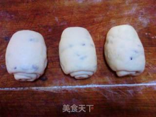 葡萄干全麦土司的做法步骤：5