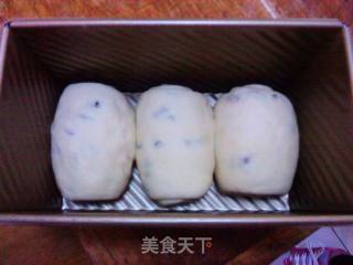 葡萄干全麦土司的做法步骤：5