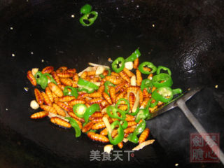 非常美食--韭菜炒蚕蛹的做法步骤：4