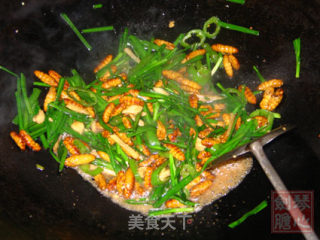 非常美食--韭菜炒蚕蛹的做法步骤：4