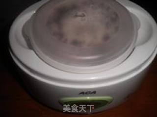 年菜之二十八甜甜蜜蜜-----自制桂花甜酒酿的做法步骤：4