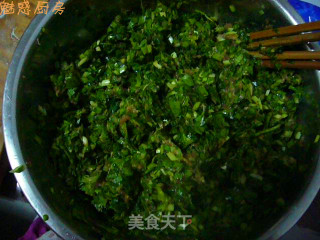 蔬菜精肉水饺的做法步骤：2