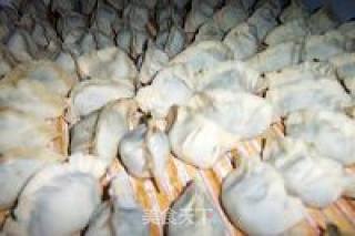 荠菜猪肉水饺的做法步骤：4