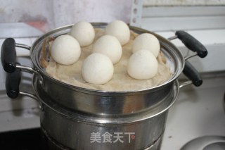 第一次做燕麦馒头的做法步骤：2