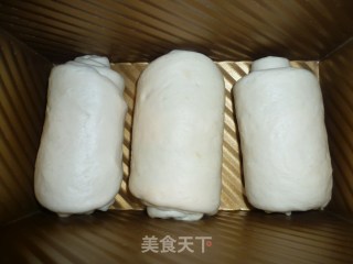 白吐司（中种）的做法步骤：3