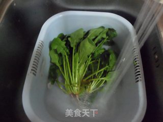 酸辣开胃——酸辣土豆粉的做法步骤：4