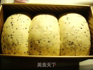 奶香黑芝麻吐司的做法步骤：2