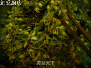 麻辣黄豆芽的做法步骤：2