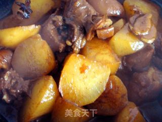 白萝卜炖羊肉的做法步骤：3